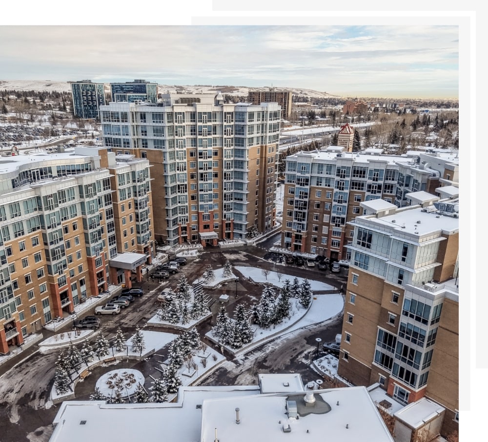 Groves of varsity feature img